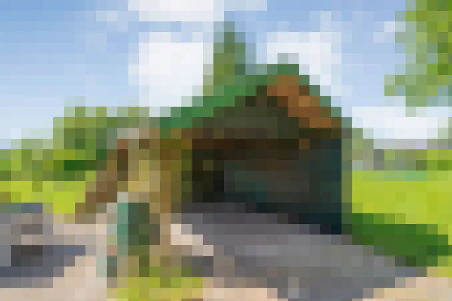 Gedempte Schuinesloot 6 Slagharen thumbnail 44