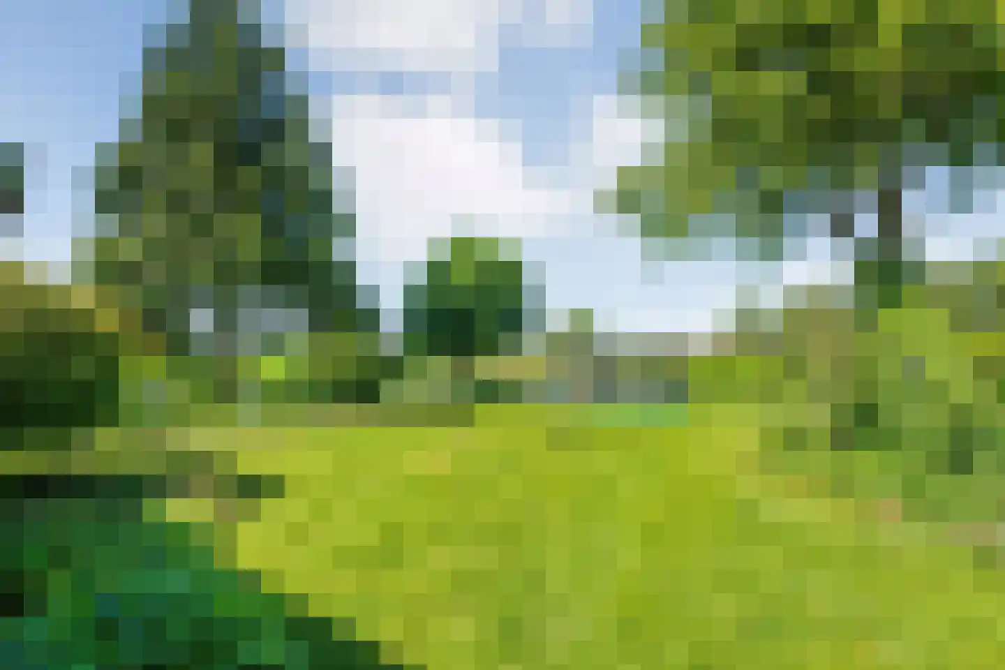 Gedempte Schuinesloot 6 Slagharen thumbnail 45
