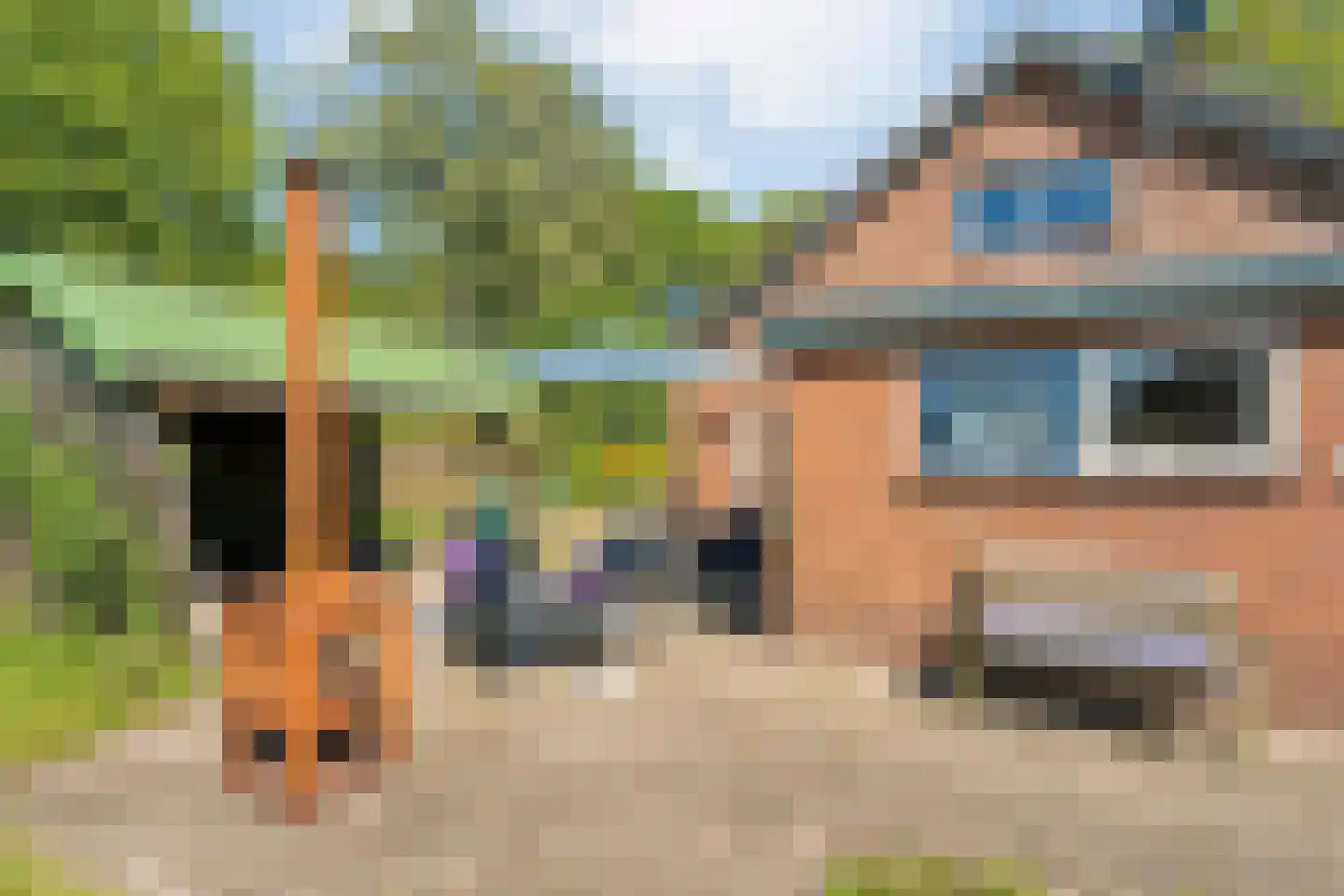 Gedempte Schuinesloot 6 Slagharen thumbnail 48