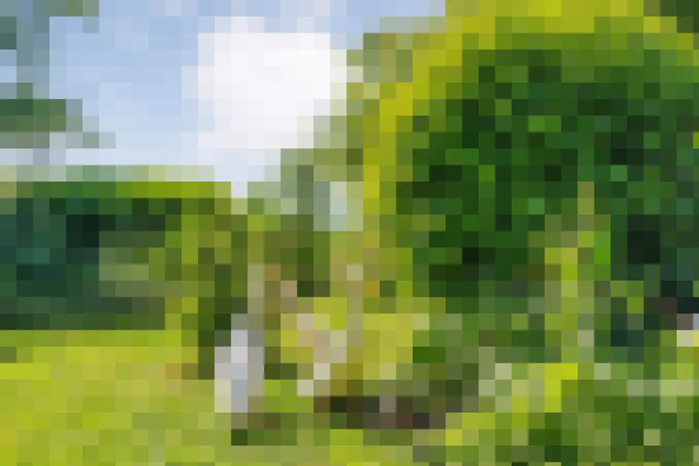 Gedempte Schuinesloot 6 Slagharen thumbnail 49