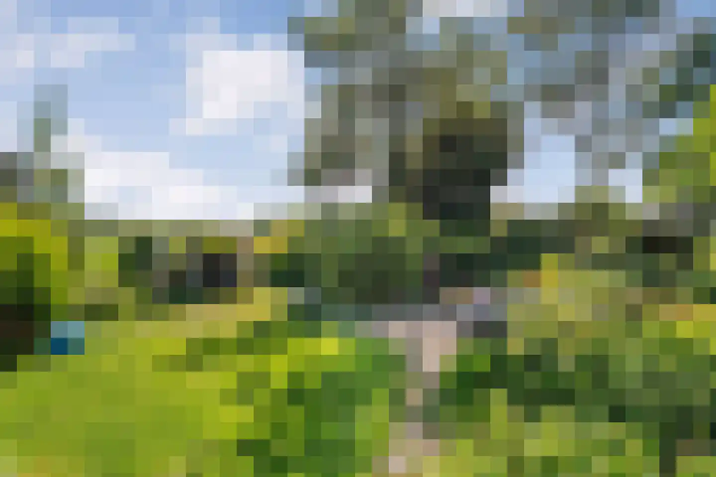 Gedempte Schuinesloot 6 Slagharen thumbnail 51