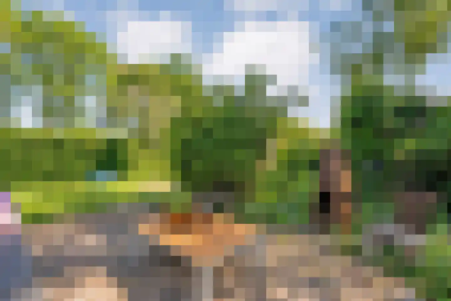 Gedempte Schuinesloot 6 Slagharen thumbnail 53