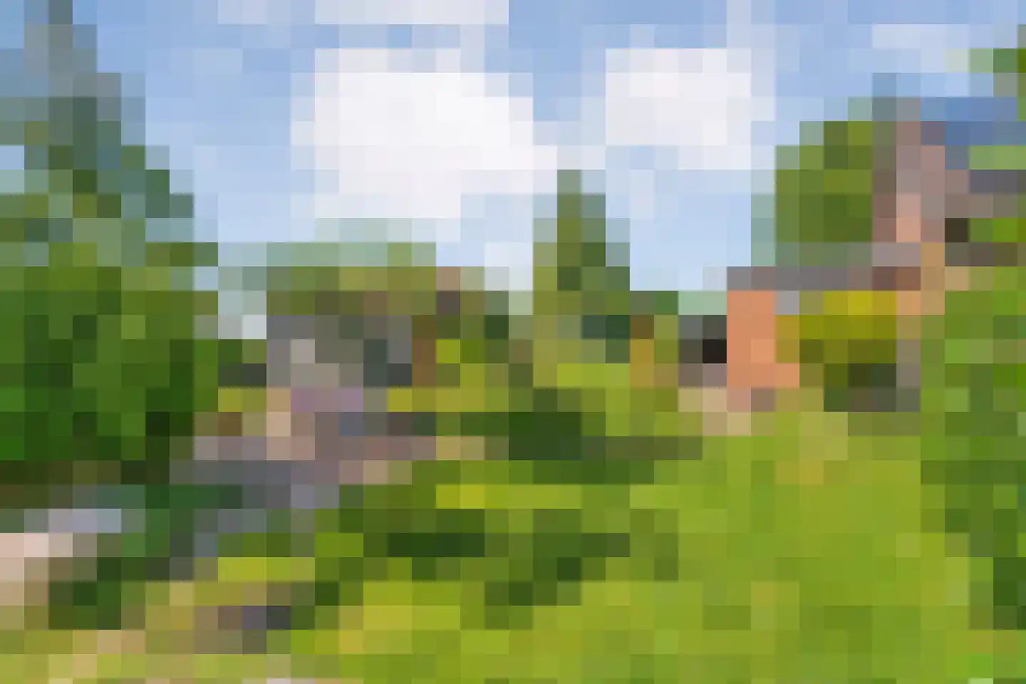 Gedempte Schuinesloot 6 Slagharen thumbnail 55