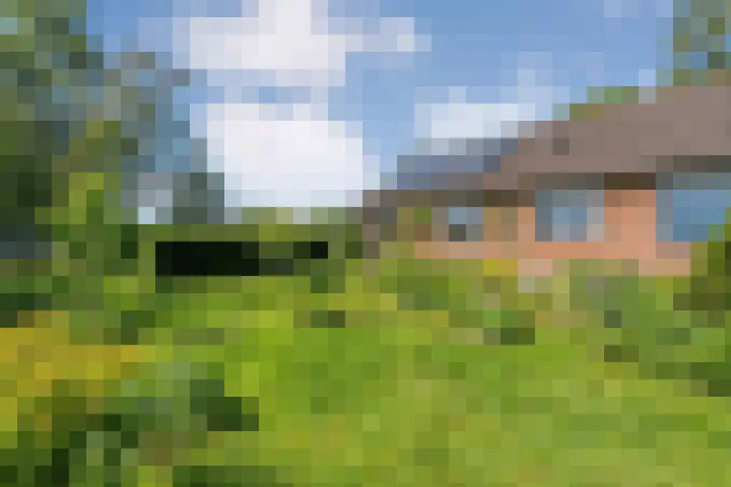 Gedempte Schuinesloot 6 Slagharen thumbnail 57