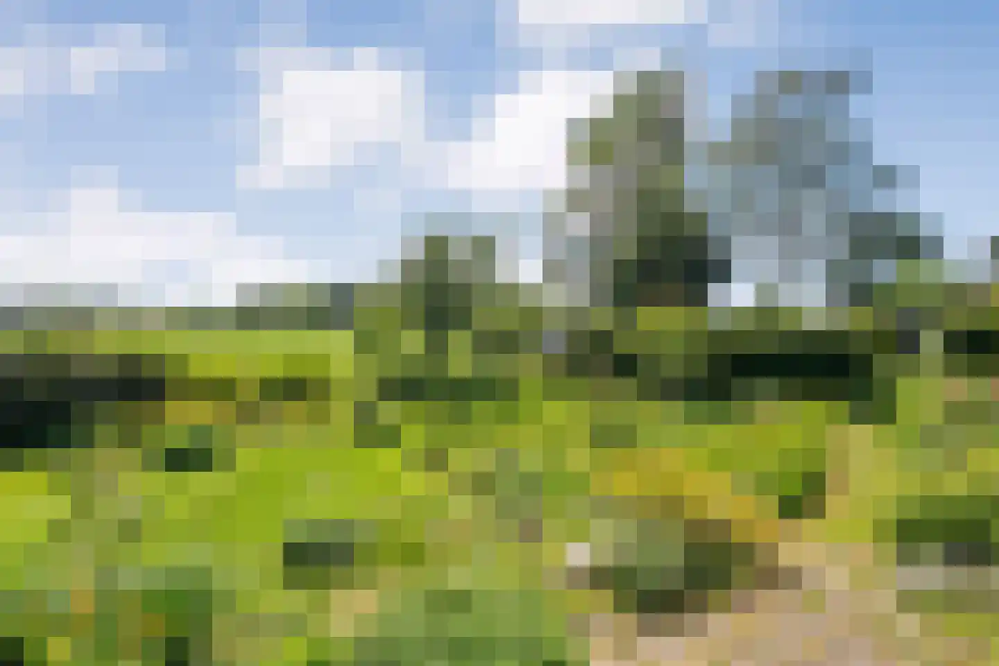 Gedempte Schuinesloot 6 Slagharen thumbnail 58