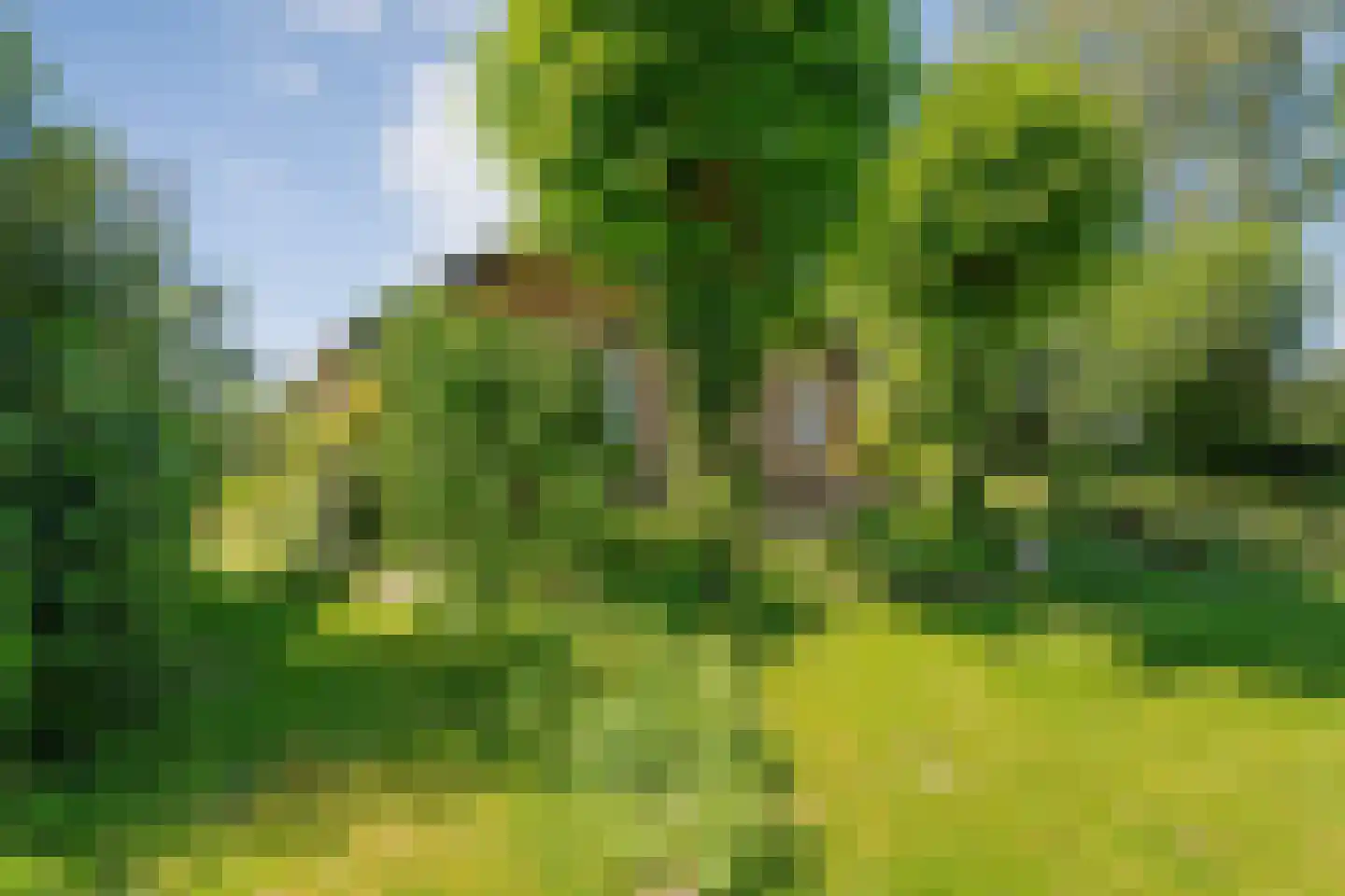 Gedempte Schuinesloot 6 Slagharen thumbnail 59