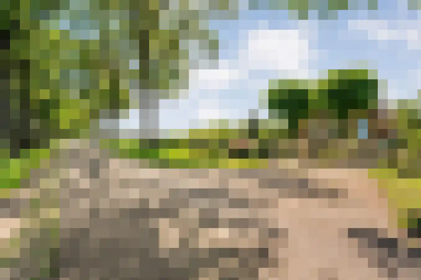 Gedempte Schuinesloot 6 Slagharen thumbnail 6