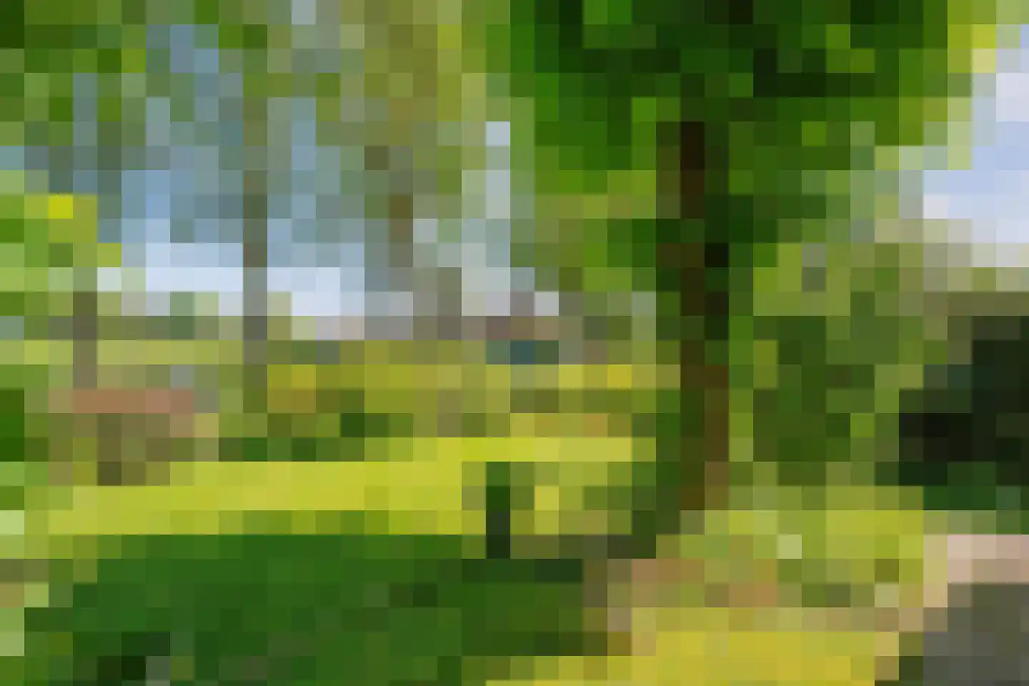 Gedempte Schuinesloot 6 Slagharen thumbnail 60
