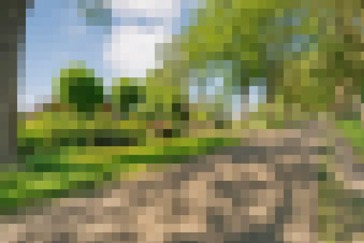 Gedempte Schuinesloot 6 Slagharen thumbnail 7