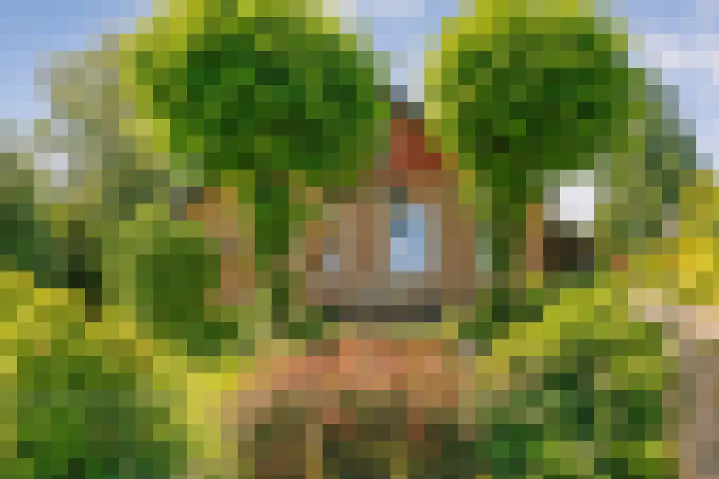 Gedempte Schuinesloot 6 Slagharen thumbnail 8