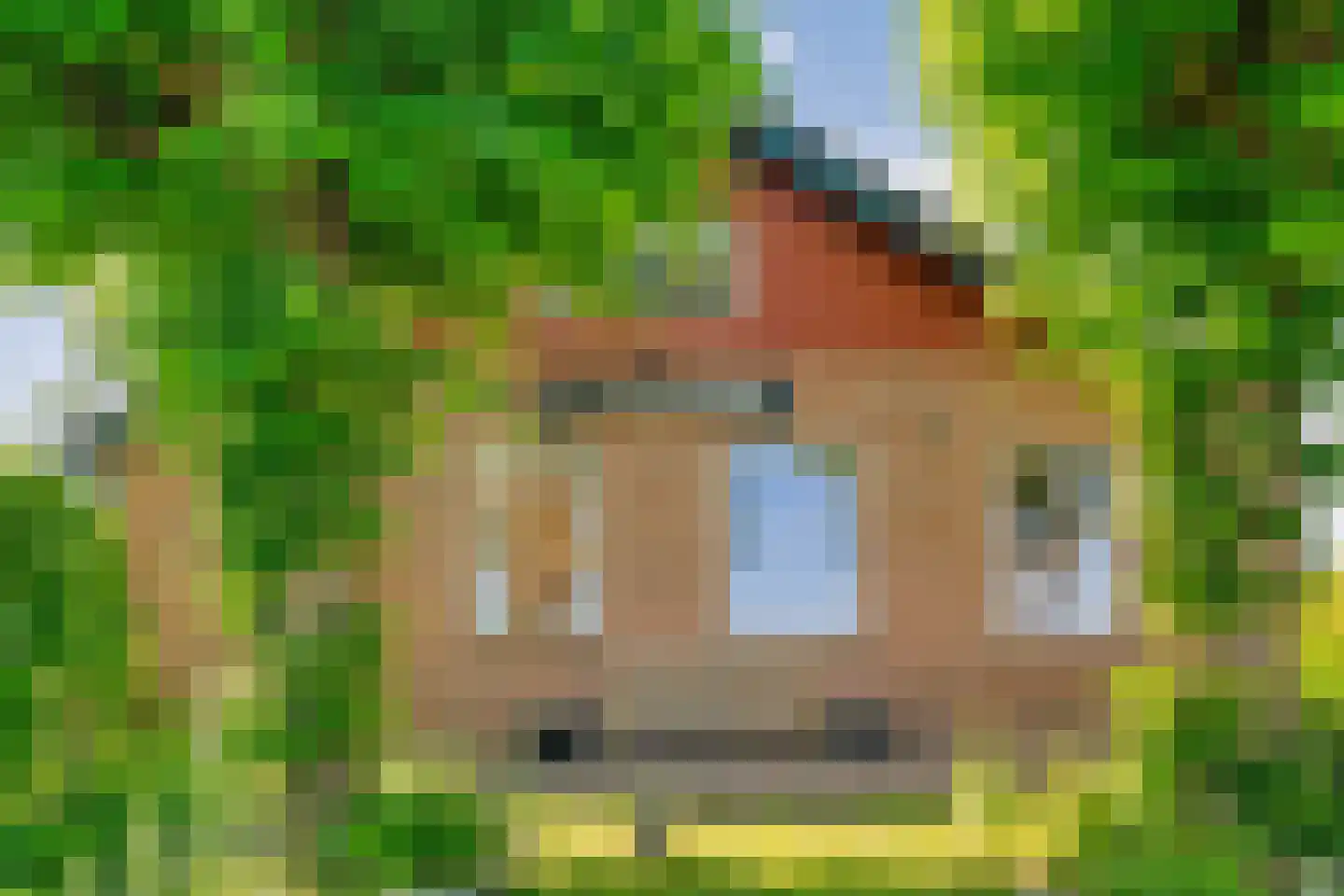 Gedempte Schuinesloot 6 Slagharen thumbnail 9