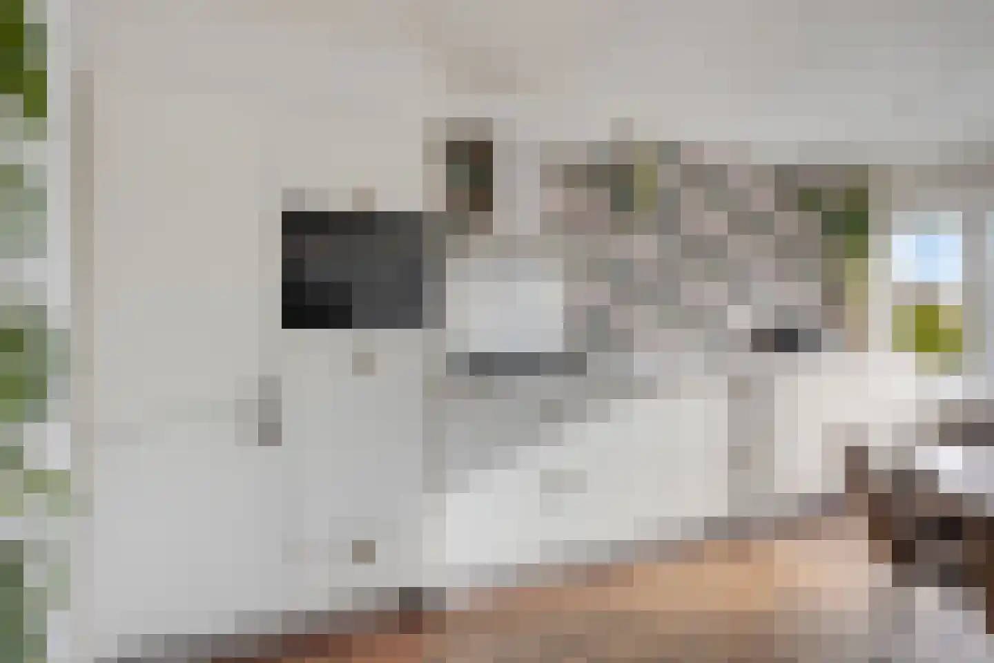 Gedempte Singelgracht 12 D Purmerend thumbnail 11