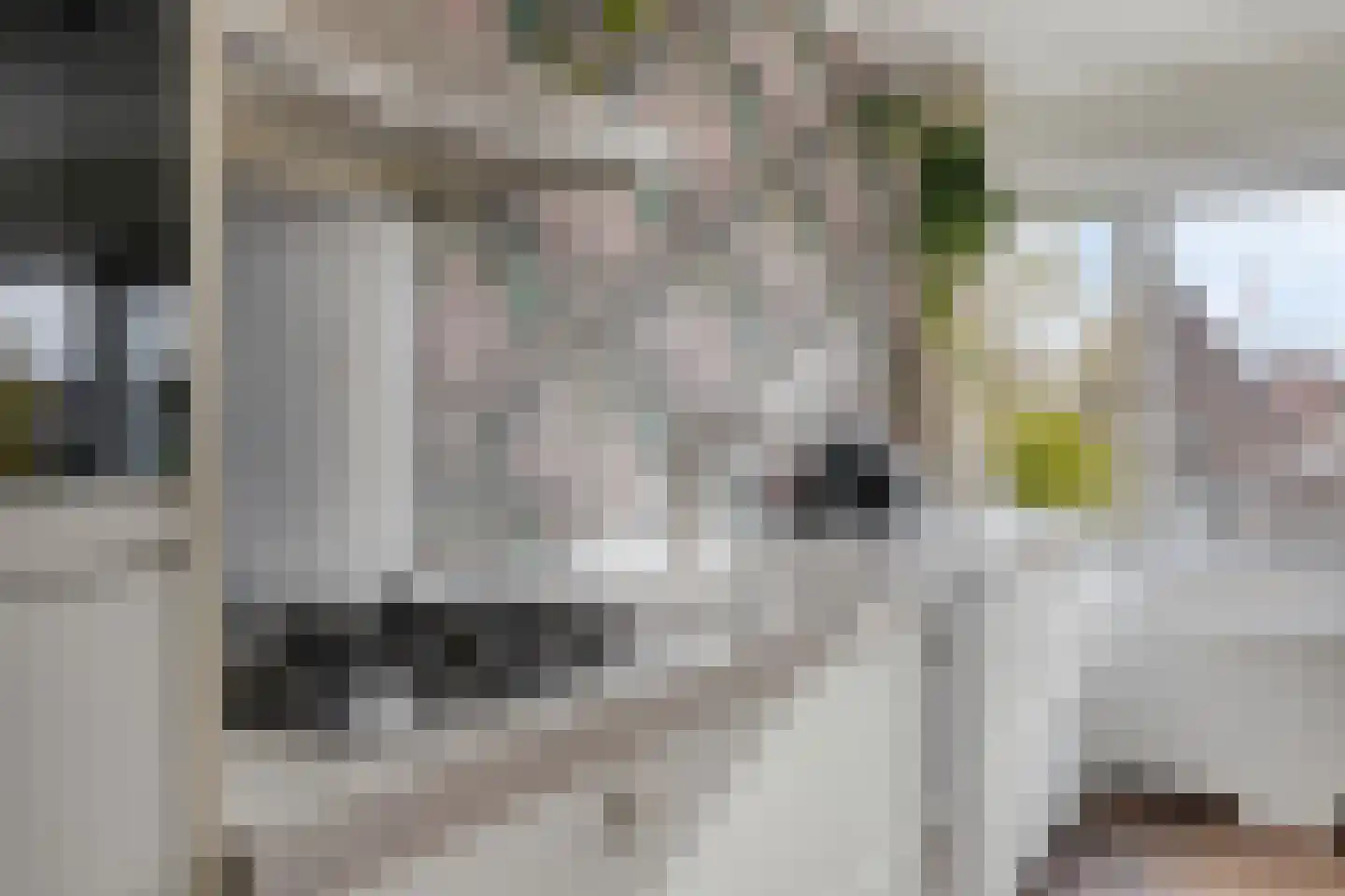 Gedempte Singelgracht 12 D Purmerend thumbnail 13