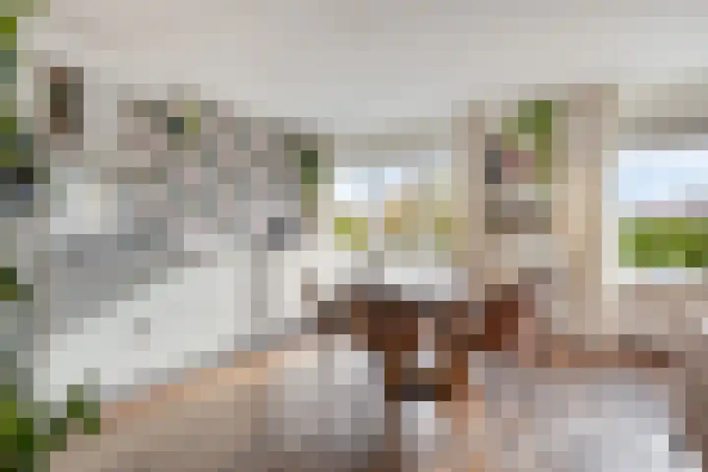 Gedempte Singelgracht 12 D Purmerend thumbnail 4