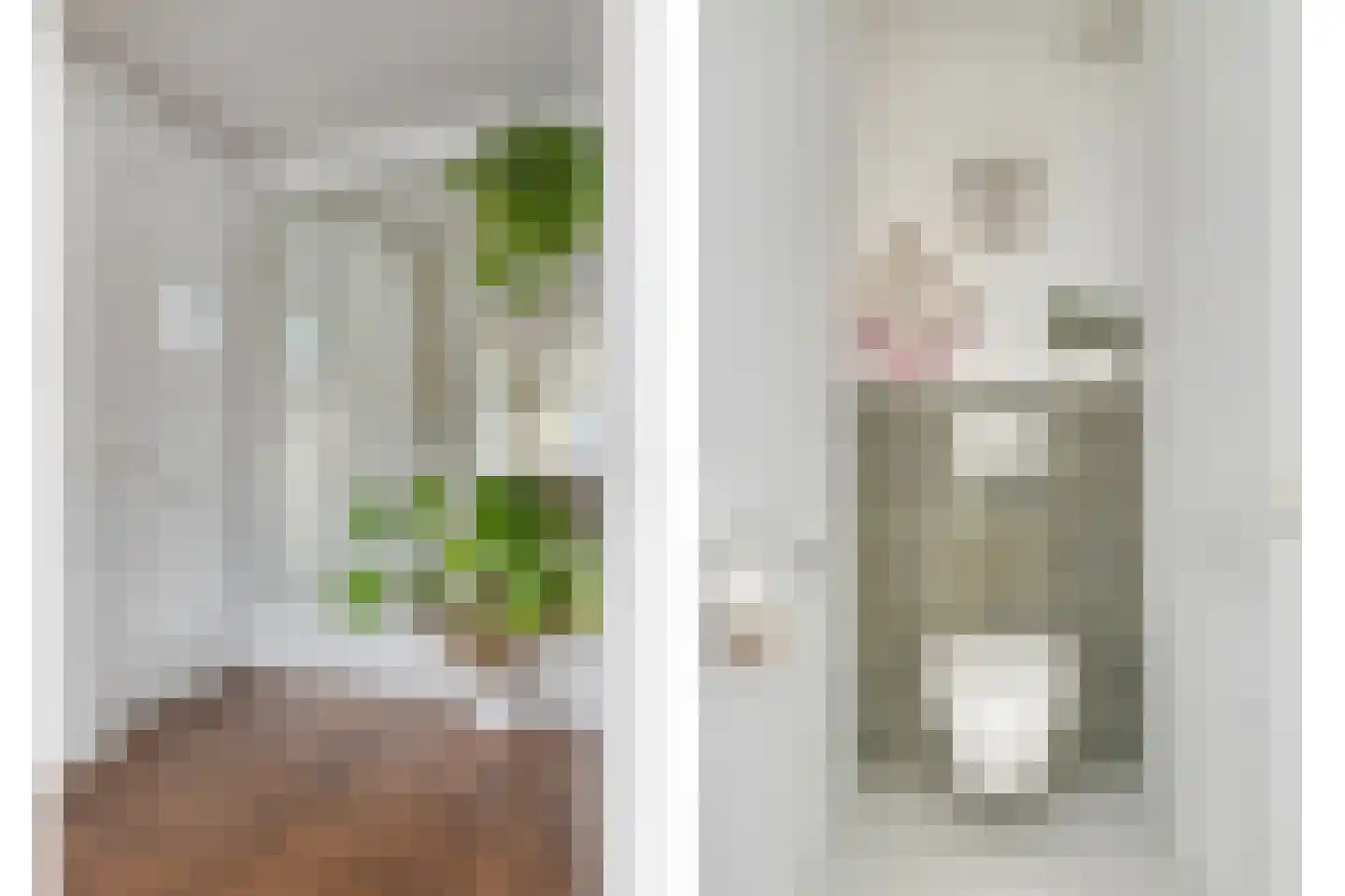 Gedempte Singelgracht 12 D Purmerend thumbnail 6