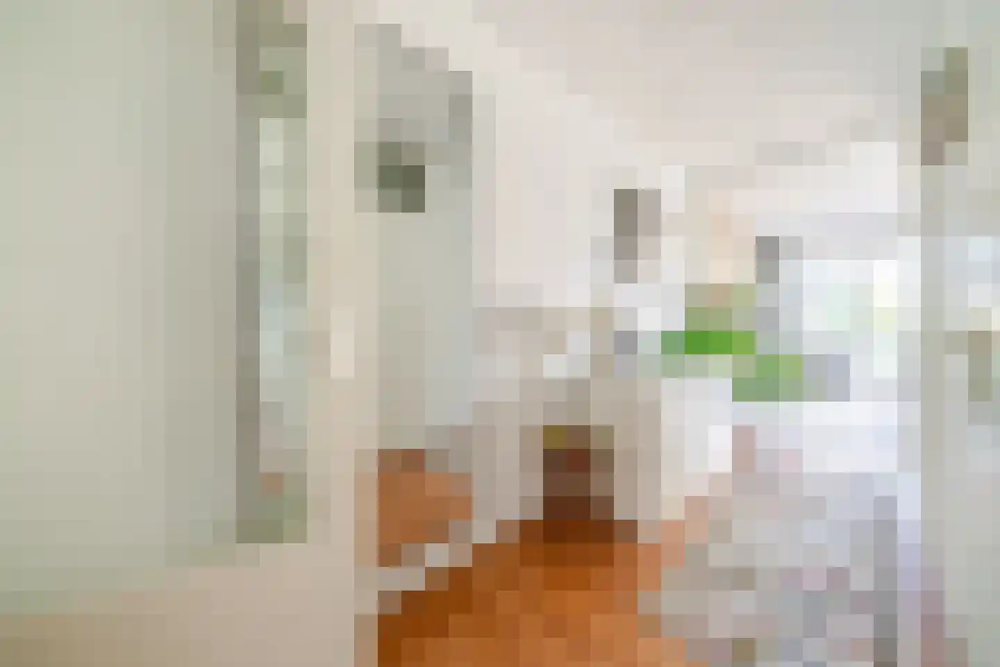 Gedempte Sloot 110 Den Haag thumbnail 11