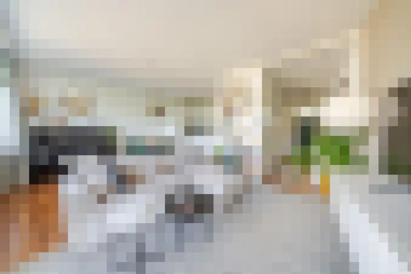 Gedempte Sloot 110 Den Haag thumbnail 12