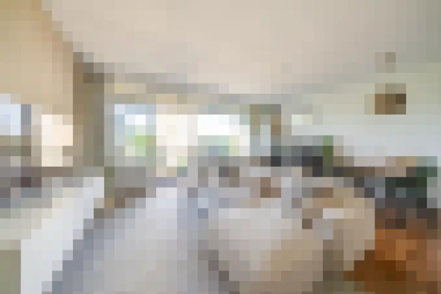 Gedempte Sloot 110 Den Haag thumbnail 13
