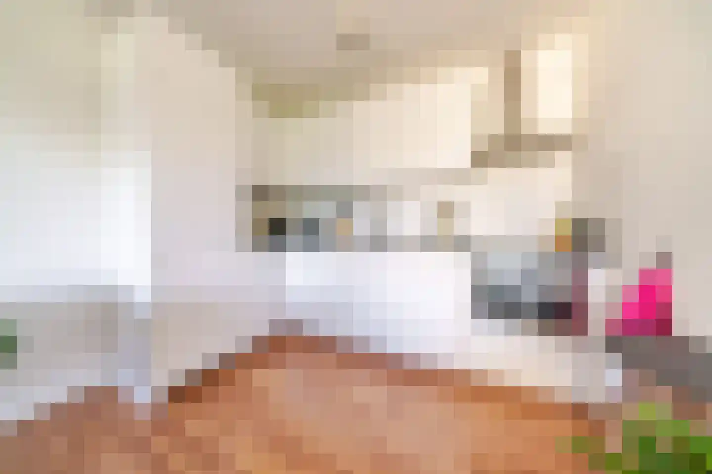 Gedempte Sloot 110 Den Haag thumbnail 19