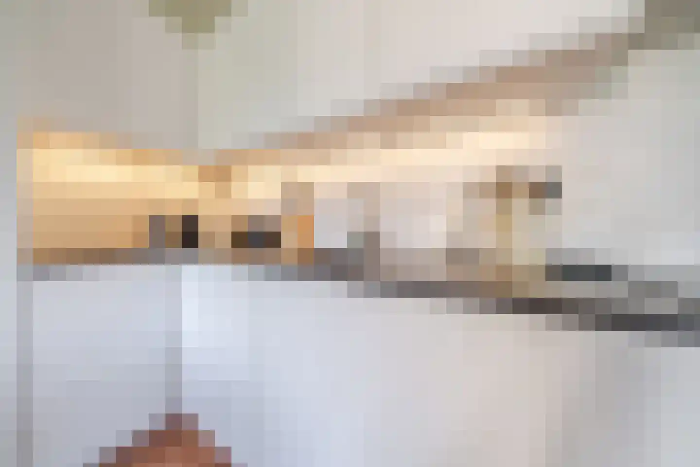 Gedempte Sloot 110 Den Haag thumbnail 20