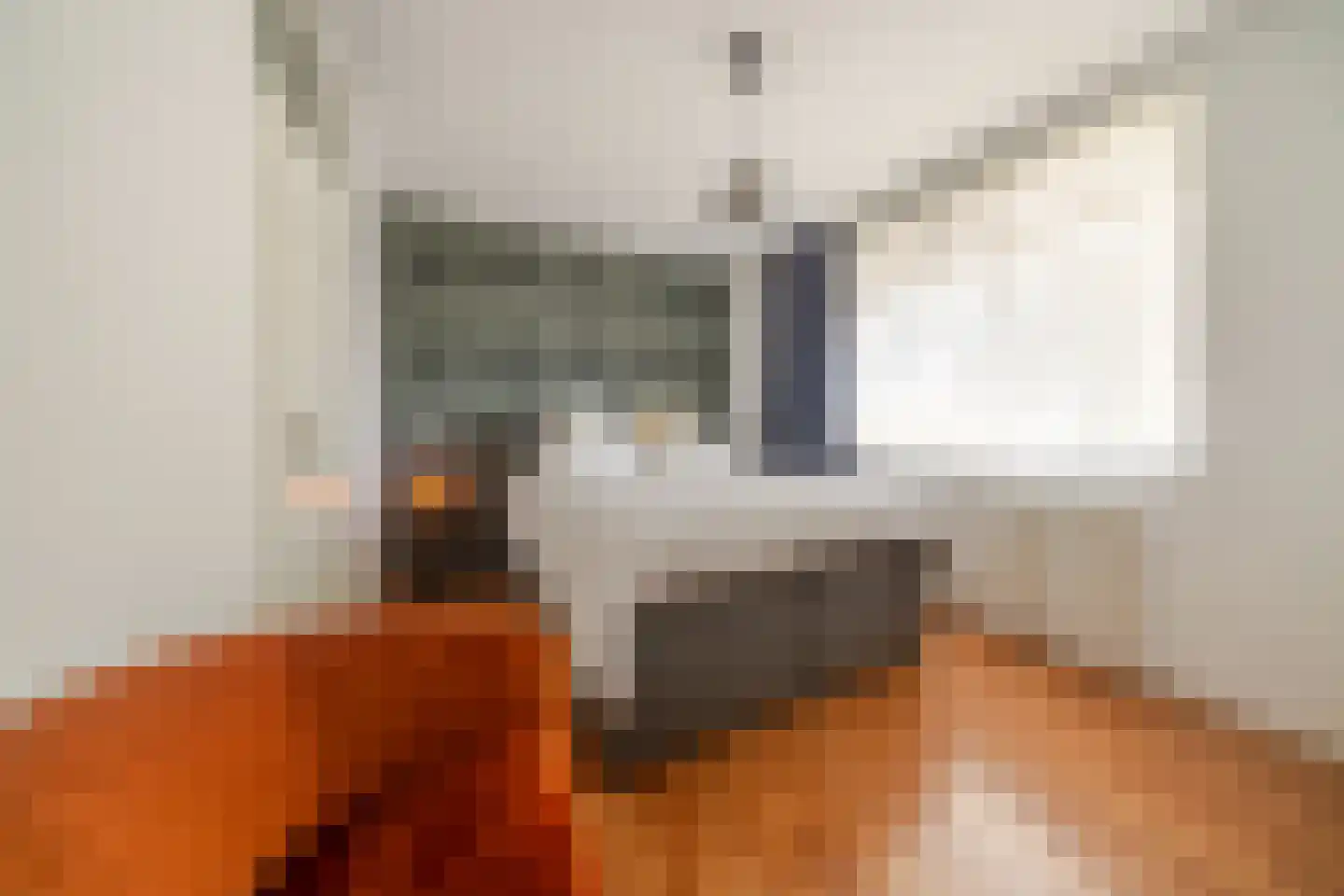 Gedempte Sloot 110 Den Haag thumbnail 23