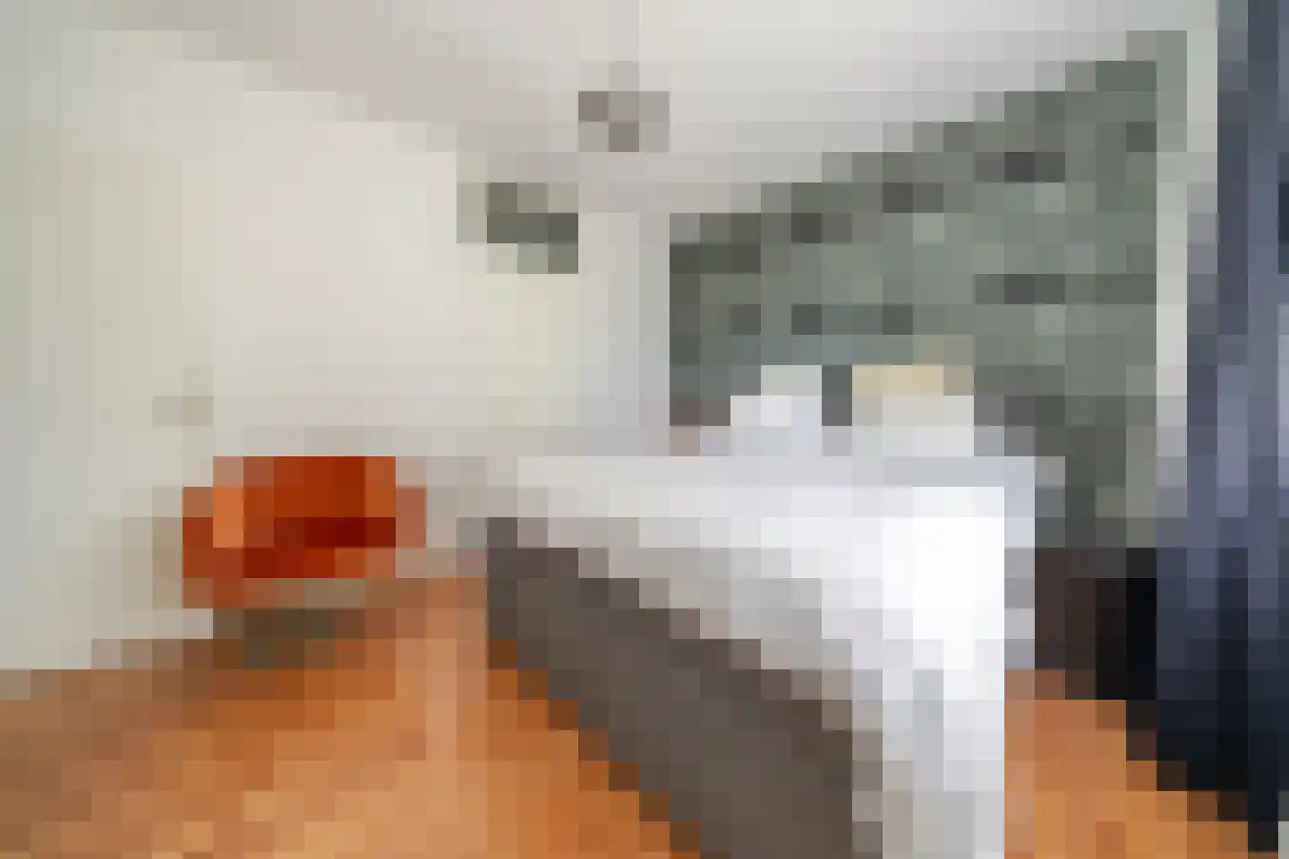 Gedempte Sloot 110 Den Haag thumbnail 24