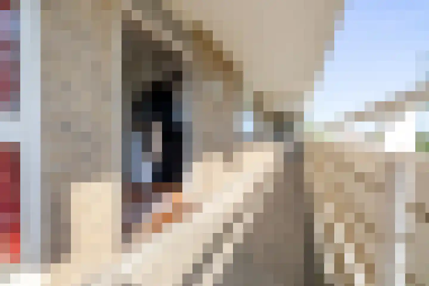 Gedempte Sloot 110 Den Haag thumbnail 8