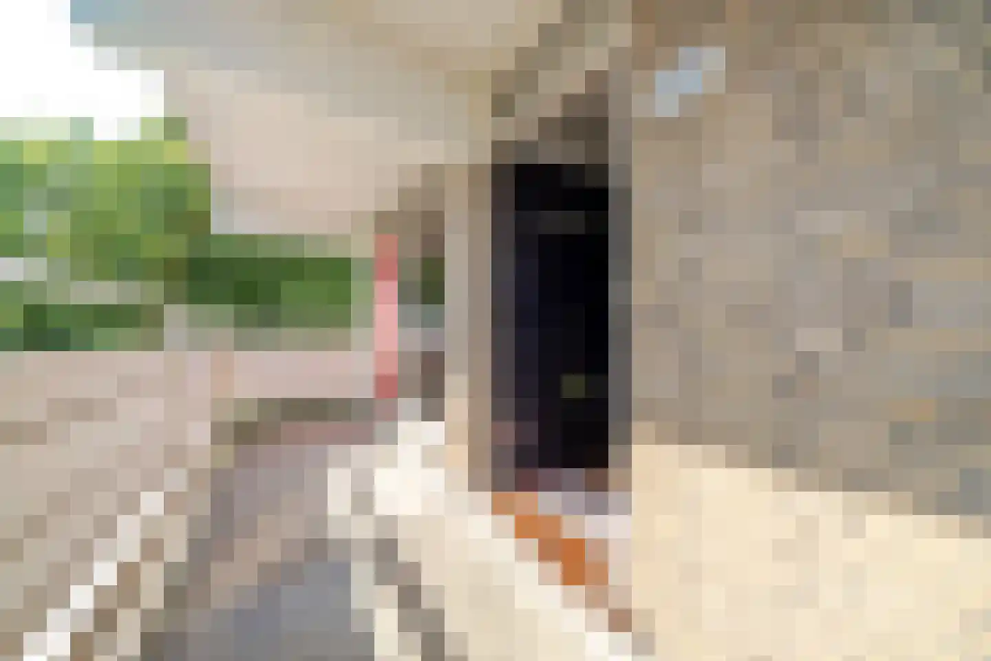 Gedempte Sloot 110 Den Haag thumbnail 9