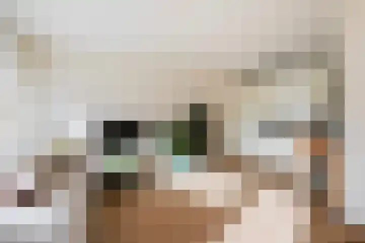 Gedempte Sloot 112 Den Haag thumbnail 10
