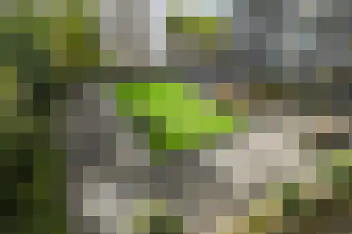 Gedempte Sloot 112 Den Haag thumbnail 24