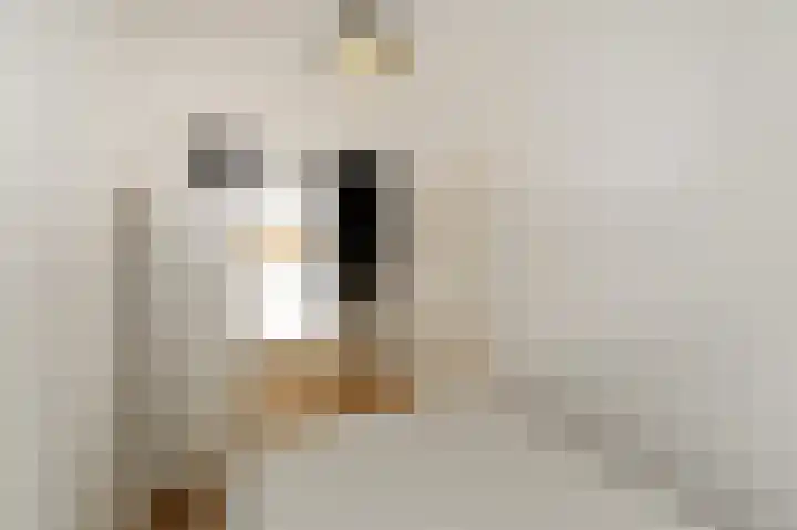 Gedempte Sloot 13 Den Haag thumbnail 11