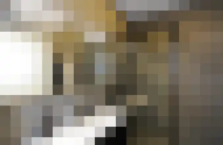 Gedempte Sloot 13 Den Haag thumbnail 13