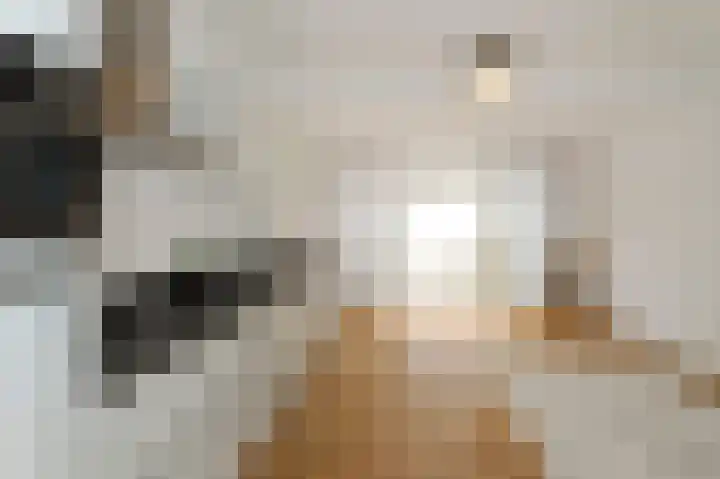 Gedempte Sloot 13 Den Haag thumbnail 14
