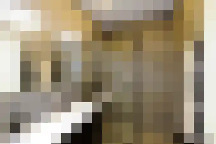 Gedempte Sloot 13 Den Haag thumbnail 4