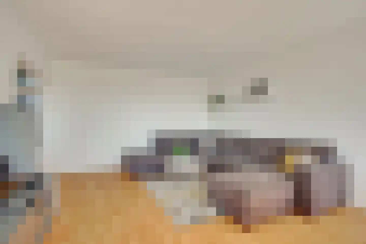 Gedempte Sloot 144 Den Haag thumbnail 18