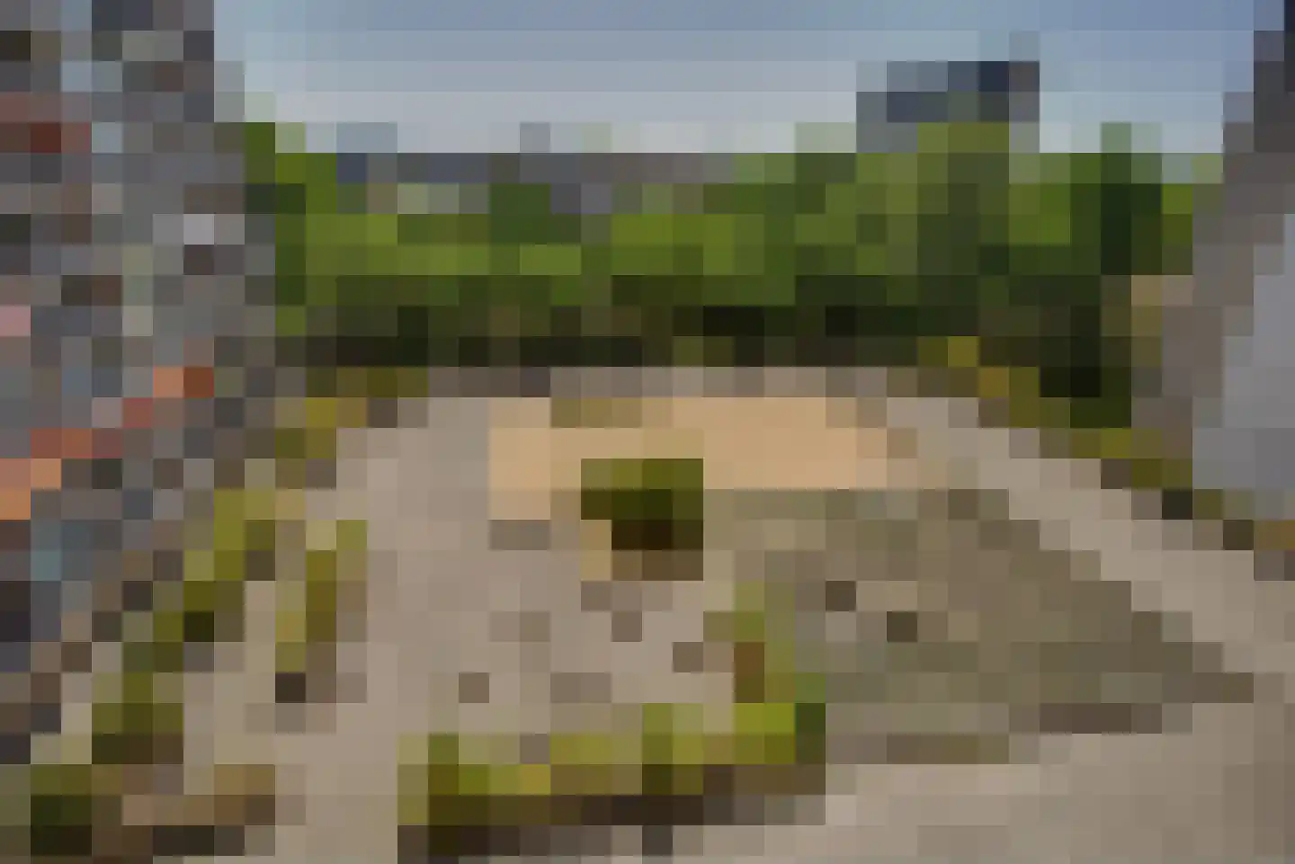 Gedempte Sloot 144 Den Haag thumbnail 30
