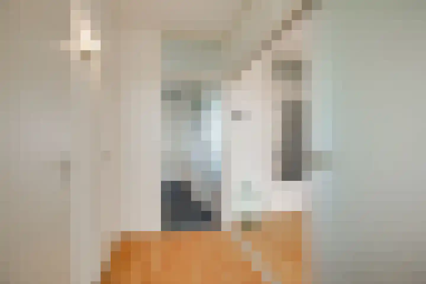 Gedempte Sloot 144 Den Haag thumbnail 34