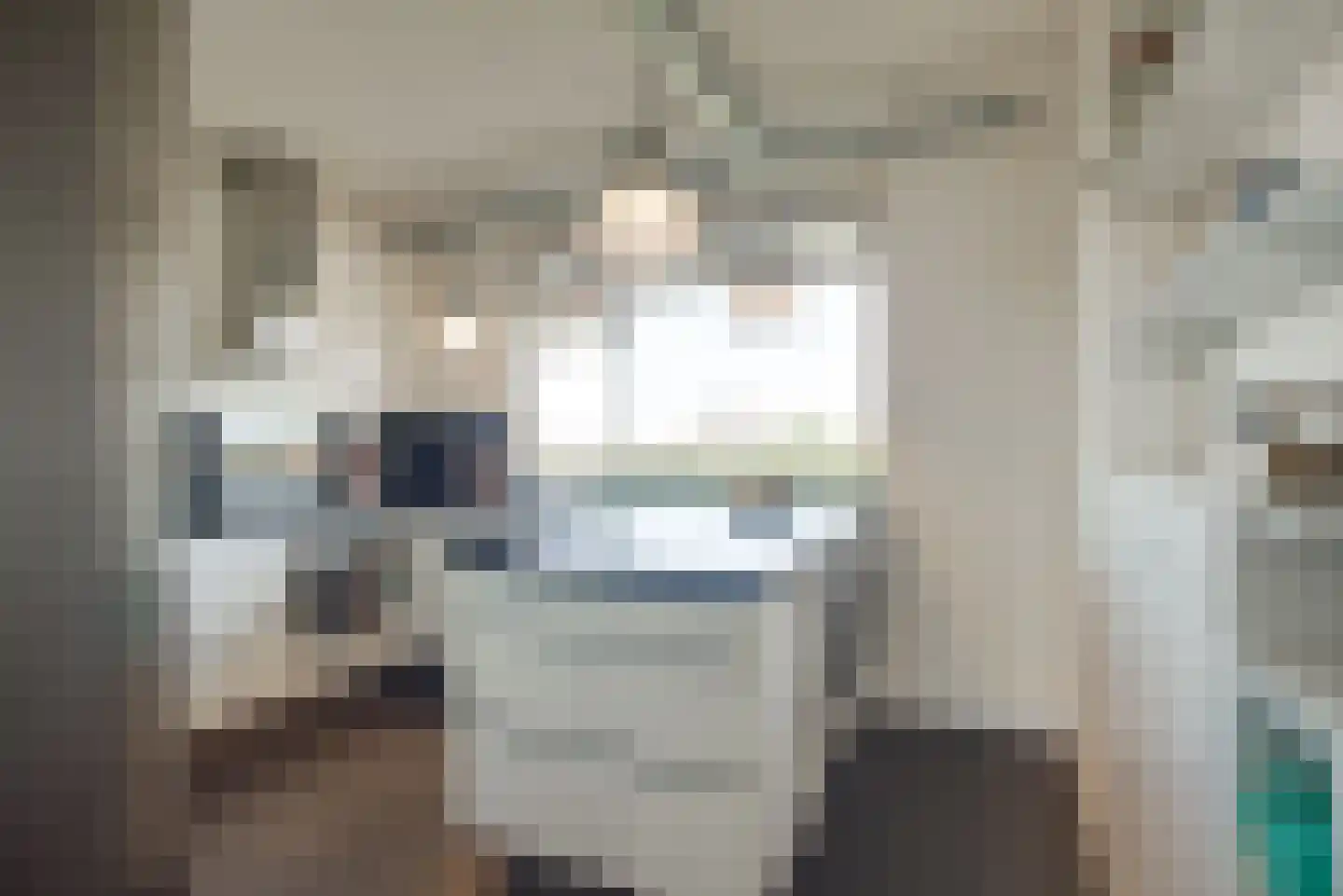 Gedempte Sloot 144 Den Haag thumbnail 37