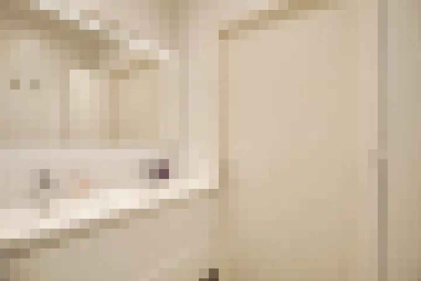 Gedempte Sloot 144 Den Haag thumbnail 47