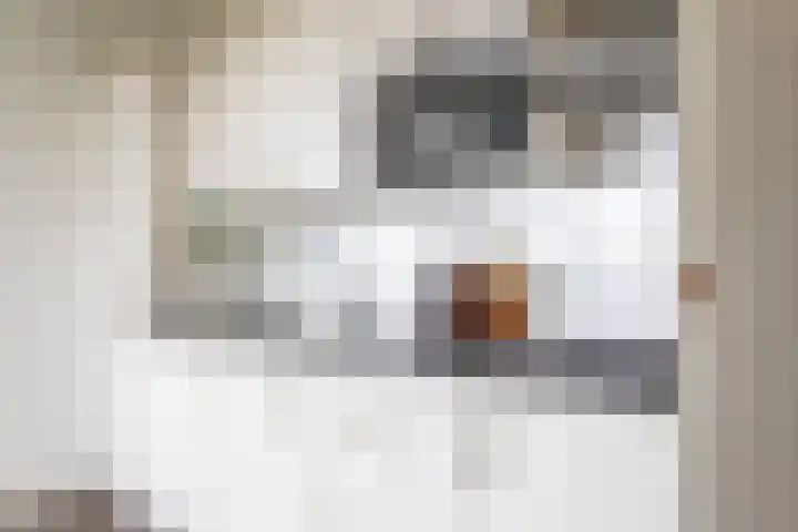 Gedempte Sloot 148 Den Haag thumbnail 10