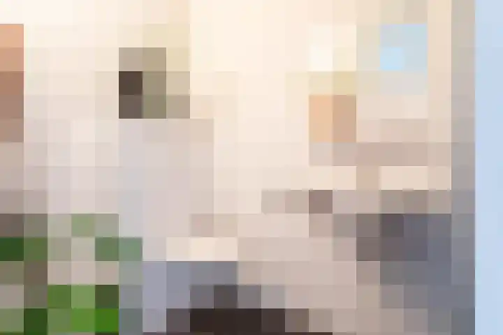 Gedempte Sloot 148 Den Haag thumbnail 16