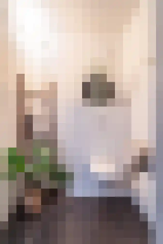 Gedempte Sloot 148 Den Haag thumbnail 17