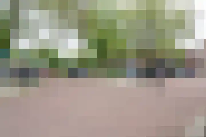 Gedempte Sloot 148 Den Haag thumbnail 22