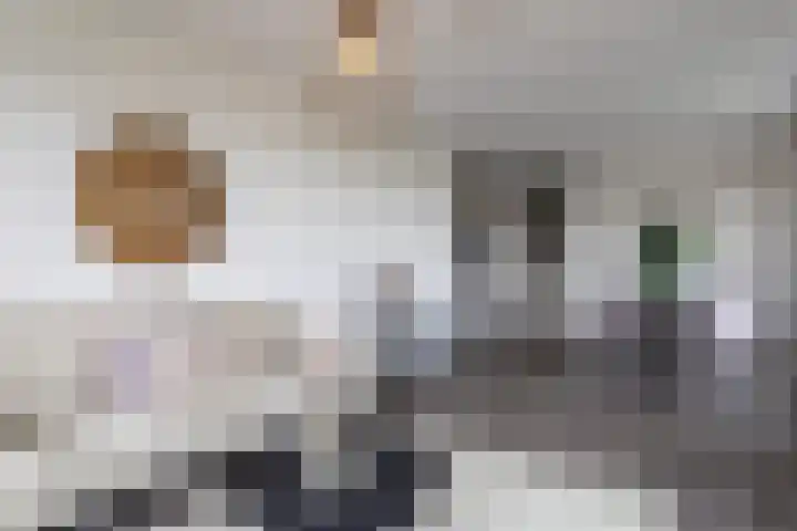 Gedempte Sloot 148 Den Haag thumbnail 5