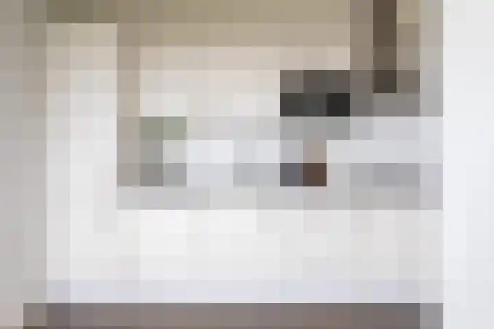 Gedempte Sloot 148 Den Haag thumbnail 9