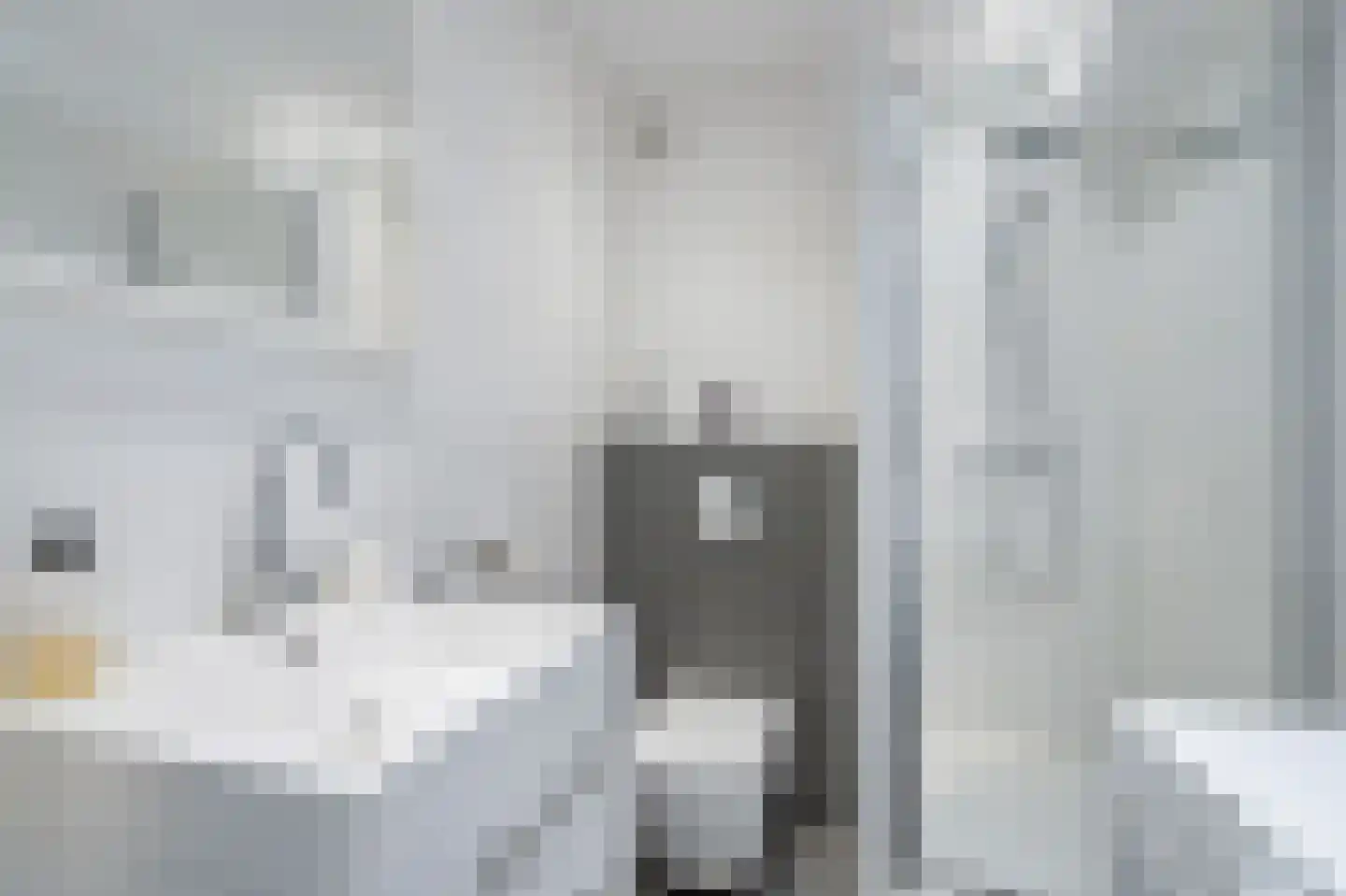 Gedempte Sloot 170 A Den Haag thumbnail 5