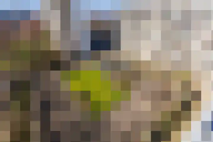 Gedempte Sloot 206 Den Haag thumbnail 20