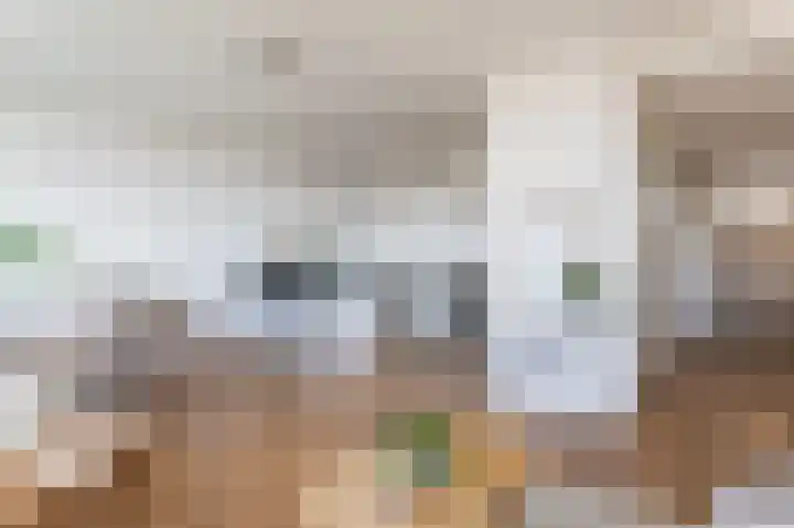 Gedempte Sloot 206 Den Haag thumbnail 4