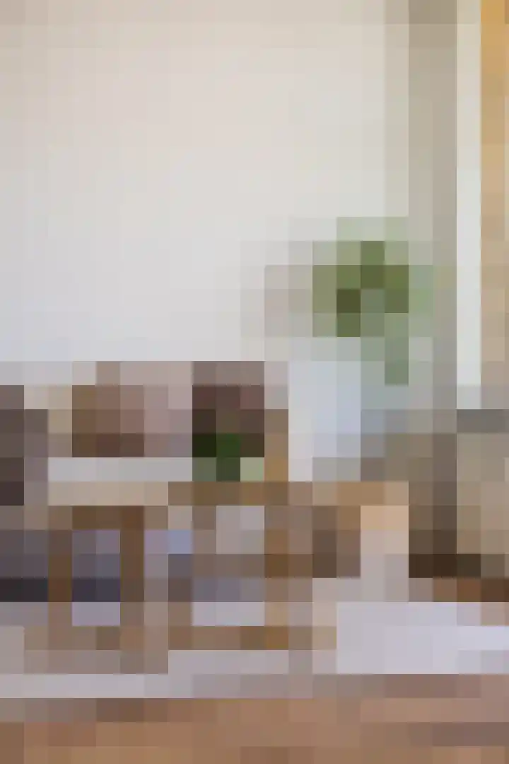 Gedempte Sloot 206 Den Haag thumbnail 8