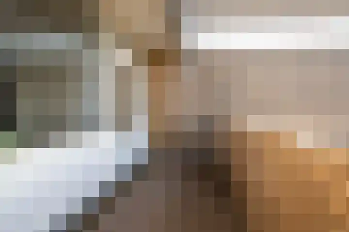 Gedempte Sloot 220 Den Haag thumbnail 32